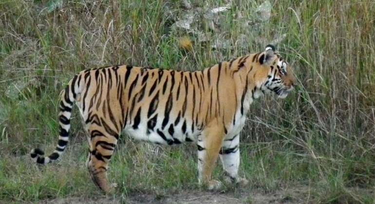 places to visit in pench